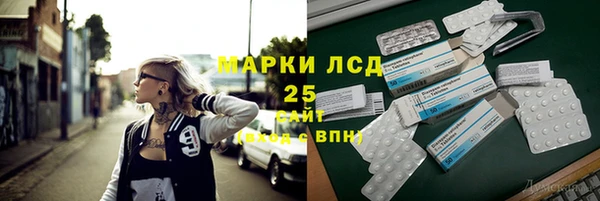 ГАЛЛЮЦИНОГЕННЫЕ ГРИБЫ Липки