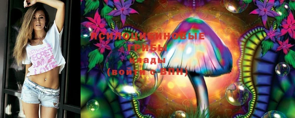 ГАЛЛЮЦИНОГЕННЫЕ ГРИБЫ Липки