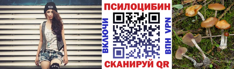 Галлюциногенные грибы мицелий продажа наркотиков Малмыж